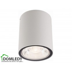LAMPA ZEWNĘTRZNA SPOT EDESA M LED WHITE 9108